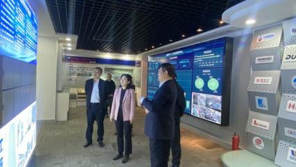 李敏來六安開發區調研督導紀檢監察工作與科技推廣應用服務